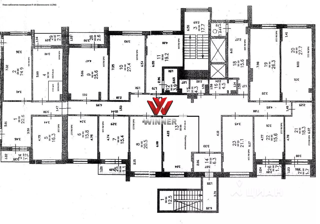 Белинского 11/66 планировки